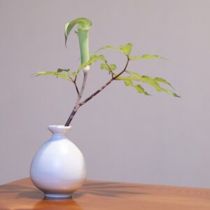 青白磁一輪差し