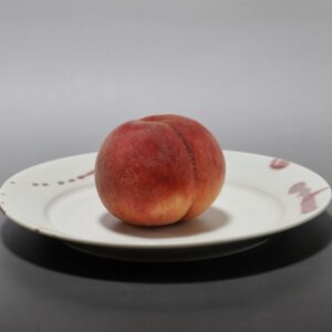 釉裏紅線紋8寸皿