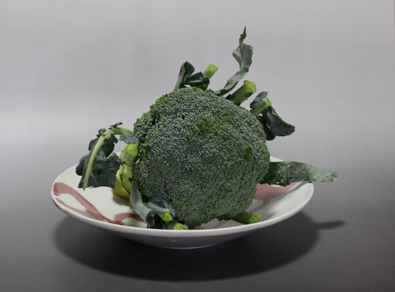 釉裏紅輪紋8寸深皿