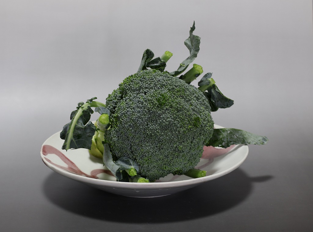 釉裏紅輪紋8寸深皿