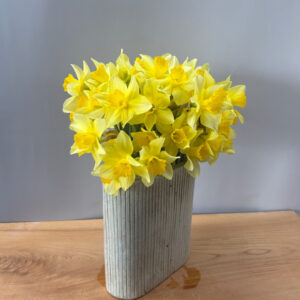 灰釉櫛目紋扁壺