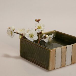 織部箱鉢に南高梅